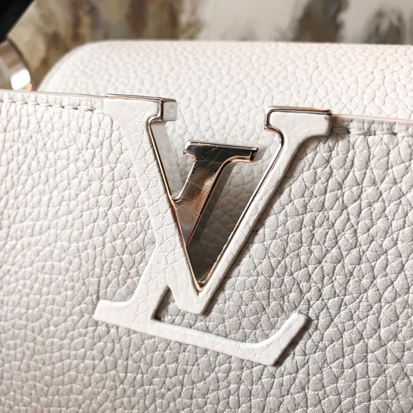 Rare Louis Vuitton Ombré Capucines MM Leather Bag - Picture 7 of 9